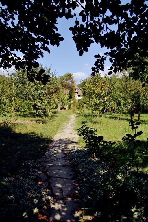 Villa Castelul Maria Banpotoc Экстерьер фото